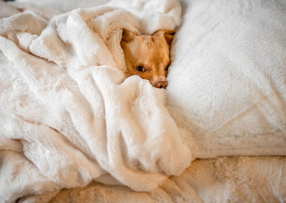 Design concept logo 2