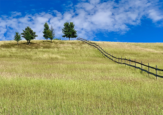 Design concept logo 1