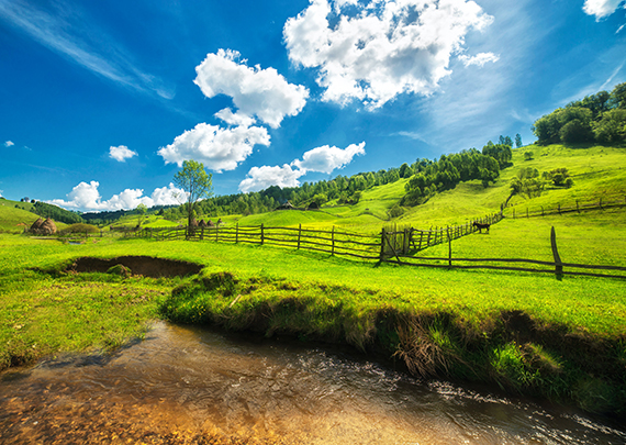 Design concept logo 2