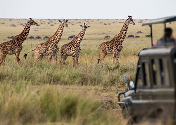 Design concept logo 1