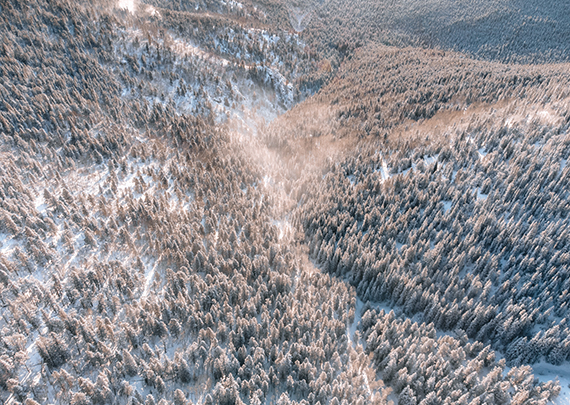 Design concept logo 1