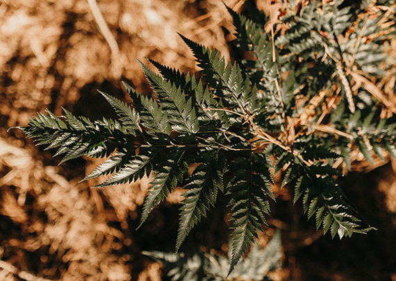 Design concept logo 2