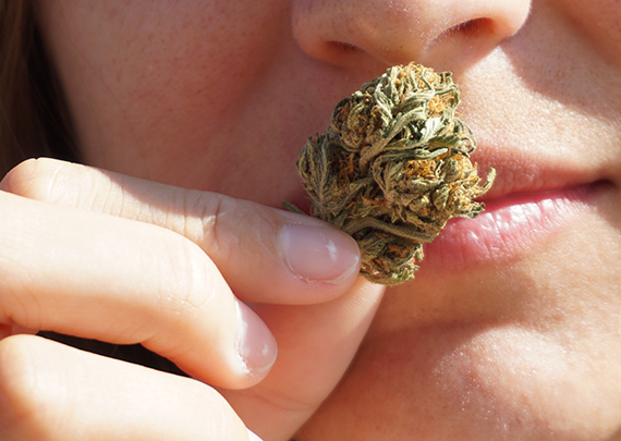 Design concept logo 2